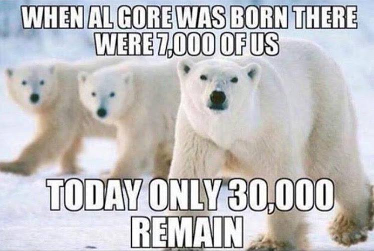 A photo of three polar bears with the text "when Al Gore was born there were 7,000 of us today only 30,000 remain" overlayed.