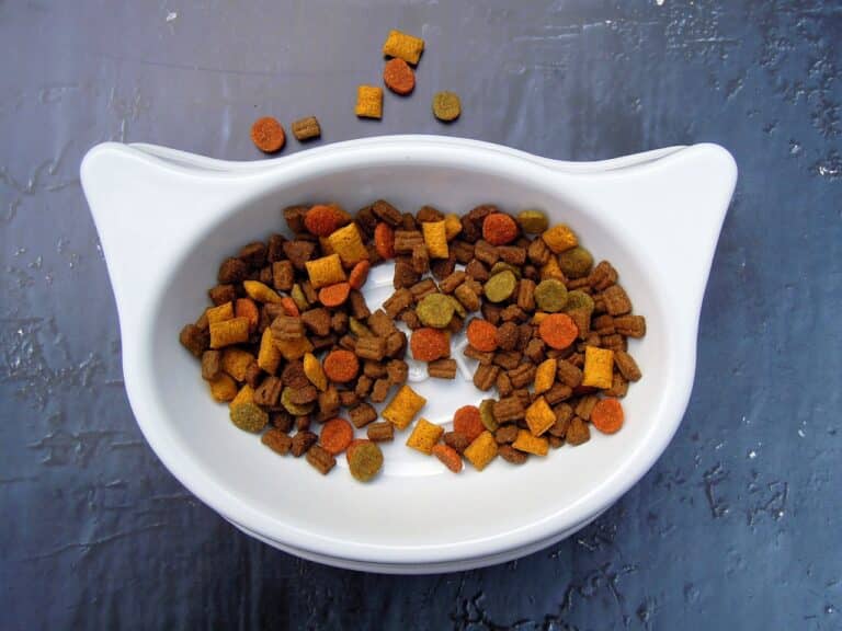 A new study suggests vegan diets are healthier  for cats and dogs – but is it really true?