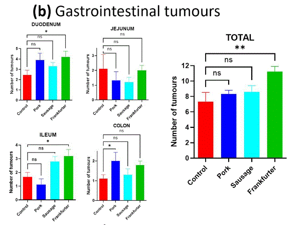 Graph from the paper showing that pork, sausage and frankfurter fed mic have more tumours than control but this is only statistically significant in the frankfurter mice