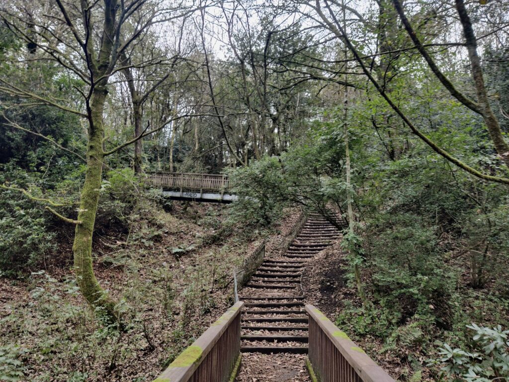A photograph of a staircase running through a wooded area. 