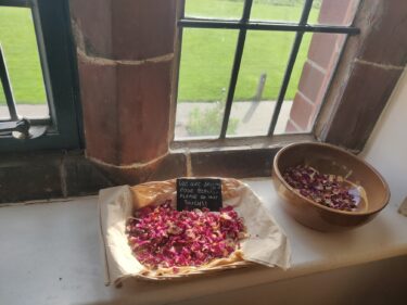 Dried rose petals on the windowsill of Ordsall Hall