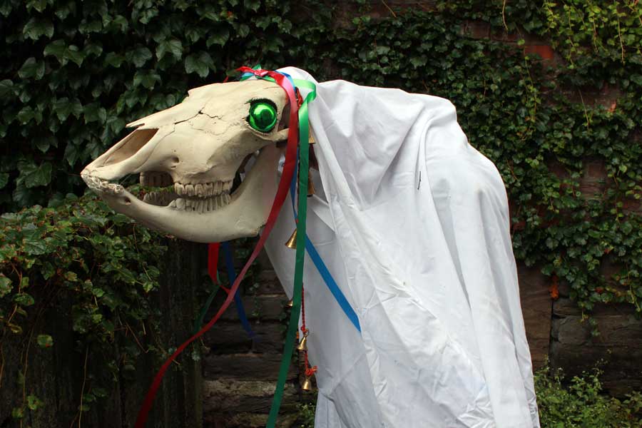 A Mari Lwyd 
Creator: R. Fiend 
Copyright: © Mari Lwyd, R. Fiend via Wikicommons CC BY-SA 3.0