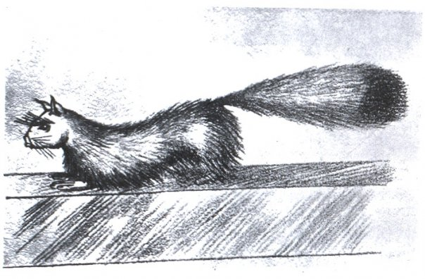 A sketch of Gef the talking mongoose by George Scott, from The Haunting of Cashen's Gap: A Modern "Miracle" Investigated, 1936.
Source: https://en.wikipedia.org/wiki/File:Gef_the_talking_mongoose.png
