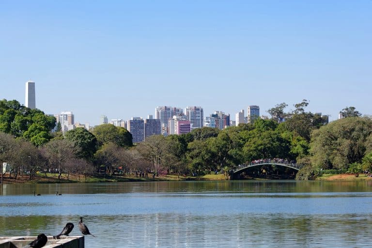 São Paulo government boasts about how much money it wastes on alternative medicines