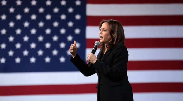 Left-wing conspiracy theories and ‘missing’ votes in the wake of Trump’s election win