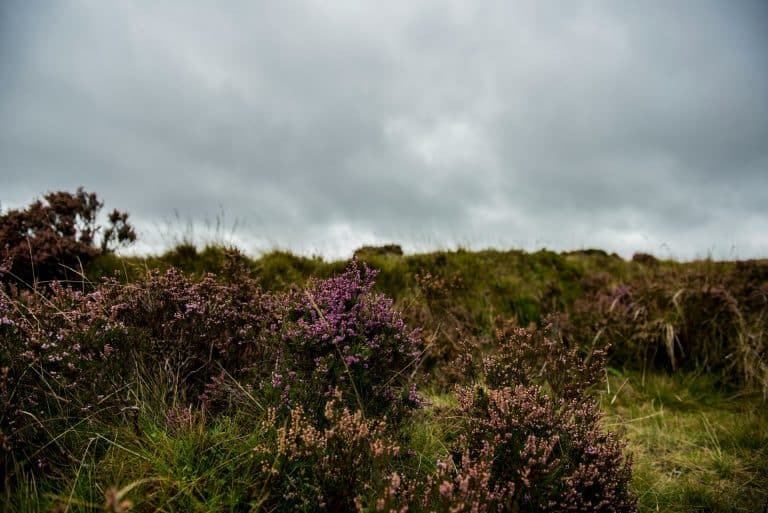 From the archive: Return To Silpho Moor – the Scarborough sky crash of 1957
