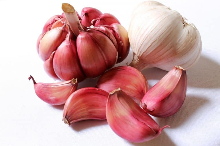 Supplements and garlic won’t cure the common cold, despite what the BBC say