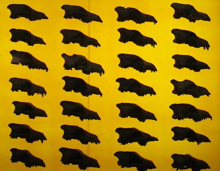 Those aren’t resurrected dire wolves, they’re customised grey wolves