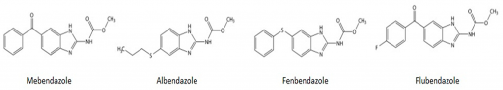 Chemical structures of benzimidazole anthelmintics commonly prescribed for human (mebendazole and albendazole) and veterinary (fenbendazole and flubendazole) use.