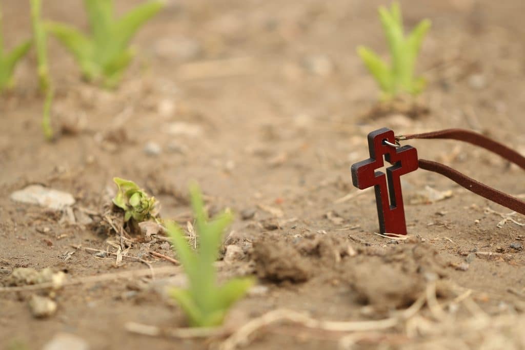A dark red Christian cross pendant, with a cut-out of the same shape smaller within it, rests in dry soil with a few young green plants growing up nearby. The pendant has a hole in the top of it where a small metal ring is attached to a brown leather cord.