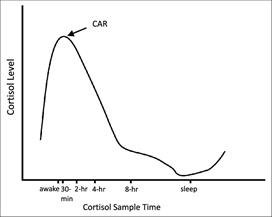 Chart showing changing cortisol levels over the day, rising sharply shortly after waking, then slowly tapering off across the the day until sleep.
