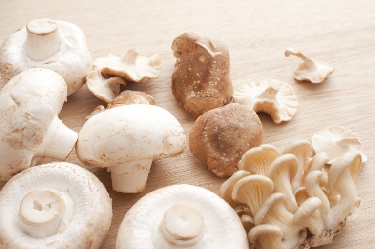 Google’s AI promoted unproven mushroom supplement with questionable testimonials