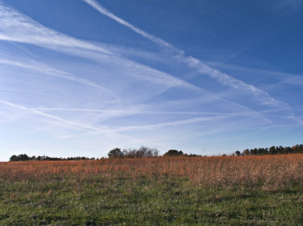 Looking up from a field, white contrails criss-cross the blue sky