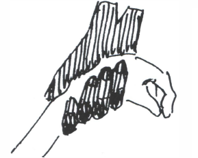 A zoom-in on the line drawing of the two men holding the 'alien', focused on the right-hand man's left hand holding the 'alien's' left hand.