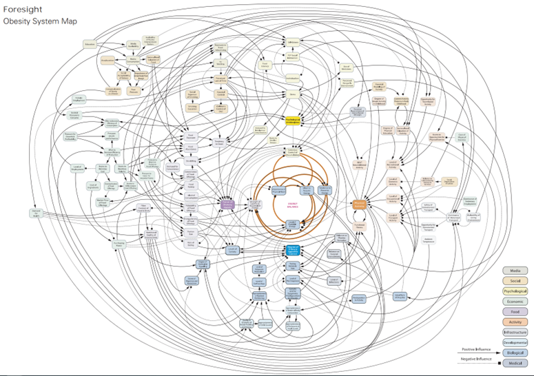 The obesity map from the UK Government’s “Reducing obesity: drivers and trends - literature review” that shows the complex web of factors that drive the wheels of energy balance at the centre.