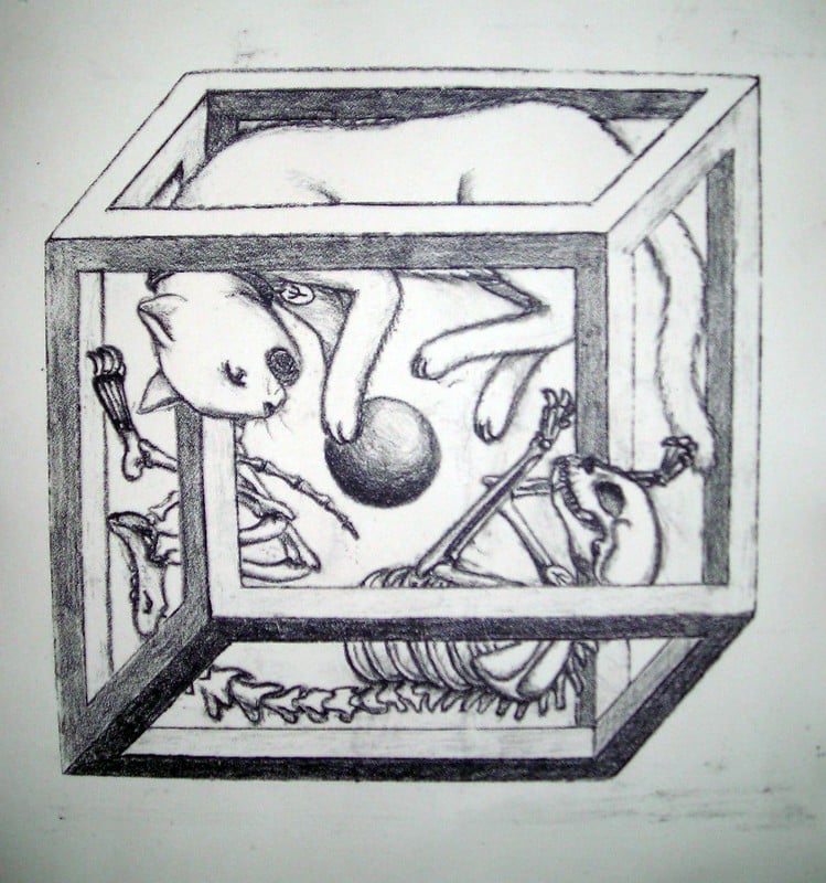 An illustration in pencil of an impossible Escher-esque cube and a cat with a ball inside, above the cat is alive and below it's a skeleton, long-dead. Both appear to be playing 'inside' the cube.