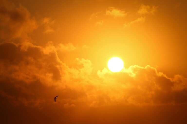 Sungazing, or staring directly at the sun, is definitely not good for your health