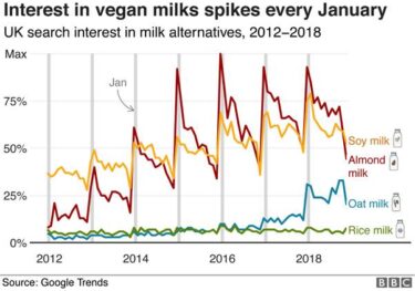 A BBC news graph of Google Trends search terms for different milks (soy, almond, oat and rice) over time from 2012 to 2019, showing consistent spikes for soy and almond each January, with Oat milk only pulling ahead of minimally searched-for rice milk from 2017-18