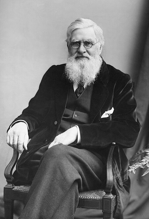 A black and white photograph from ~1895. Co-creator of the theory of evolution by natural selection, Alfred Russel Wallace, sits on a chair in a dark velvet jacket, waistcoat, shirt and tie. He has a white, fluffy beard, wears glasses and has a slight smile