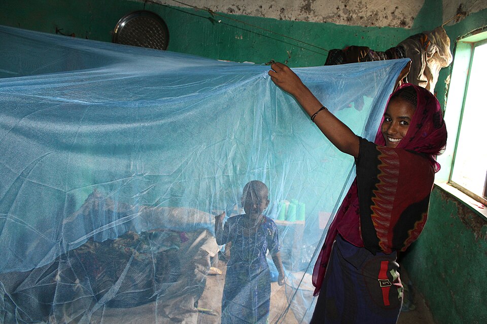 Photograph of a smiling woman putting up a mosquito net, with a child visible on the other side of the net