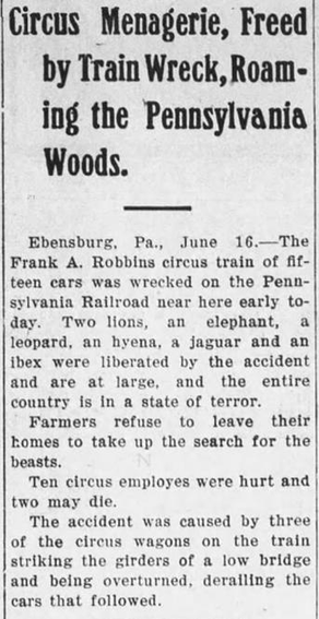Old newspaper clipping, headlined "Circus Menagerie, Freed by Train Wreck, Roaming the Pennsylvania Woods."
Ebensburg, Pa, June 16. The Franks A Robbins circus train of fifteen cars was wrecked on the Pennsylvania Railroad near here earlier today. Two lions, an elephant, a leopard, an hyena, a jaguar and an ibex were liberated by the accident and are at large, and the entire country is in a state of terror.
Farmers refuse to leave their homes to take up the search for the beasts.
Ten circus employees were hurt and two may die.
The accident was caused by three of the circus wagons on the train striking the girders of a low bridge and being overturned, derailing the cars that followed.