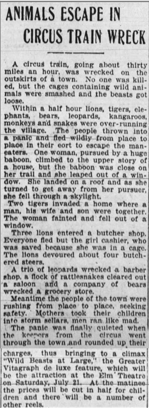 Old newspaper clipping, headlined "Animals escape in circus train wreck"
A circus train going about thirty miles an hour was wrecked on the outskirts of a town. No one was killed, but the cages containing wild animals were smashed and the beasts got loose.
Within a half hour lions, tigers, elephants, bears, kangaroos, monkeys and snakes were over-running the village. The people thrown into a panic and fled wildly from place to place in their effort to escape the man-eaters. One woman, pursued by a huge baboon, climbed to the upper story of a house, but the baboon was close on her trail and she leaped out of a window. She landed on a roof and as she turned to get away from her pursuer, she fell through a skylight.
Two tigers invaded a home where a man, his wife and son were together. The woman fainted and fell out of a window.
Three lions entered a butcher shop. Everyone fled but a girl cashier, who was saved because she was in a cage. The lions devoured about four butchered steers.
A trio of leopards wrecked a barber shop, a flock of rattlesnakes cleared out a saloon and a company of bears wrecked a grocery store.
Meantime the people of the town were rushing from place to place, seeking safety. Mothers took their children into storm cellars, men ran like mad.
The panic was finally quieted when keepers from the circus went through the town and rounded up their charges, thus bringing to a climax "Wild Beasts at Large" the Greater Vitagraph de luxe feature, which will be the attraction at the Elm Theatre on Saturday July 21. At the matinee the prices will be cut in half for children and there will be a number of other reels.