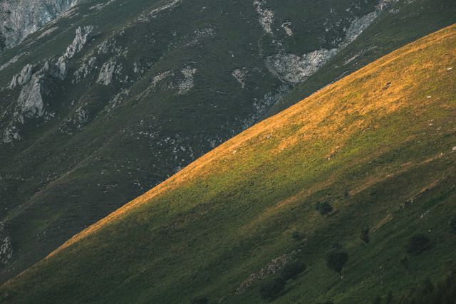 Photograph of a grassy and sunlit mountain slope.
